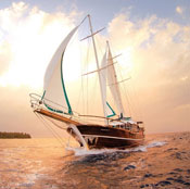 JIUYOU.com����